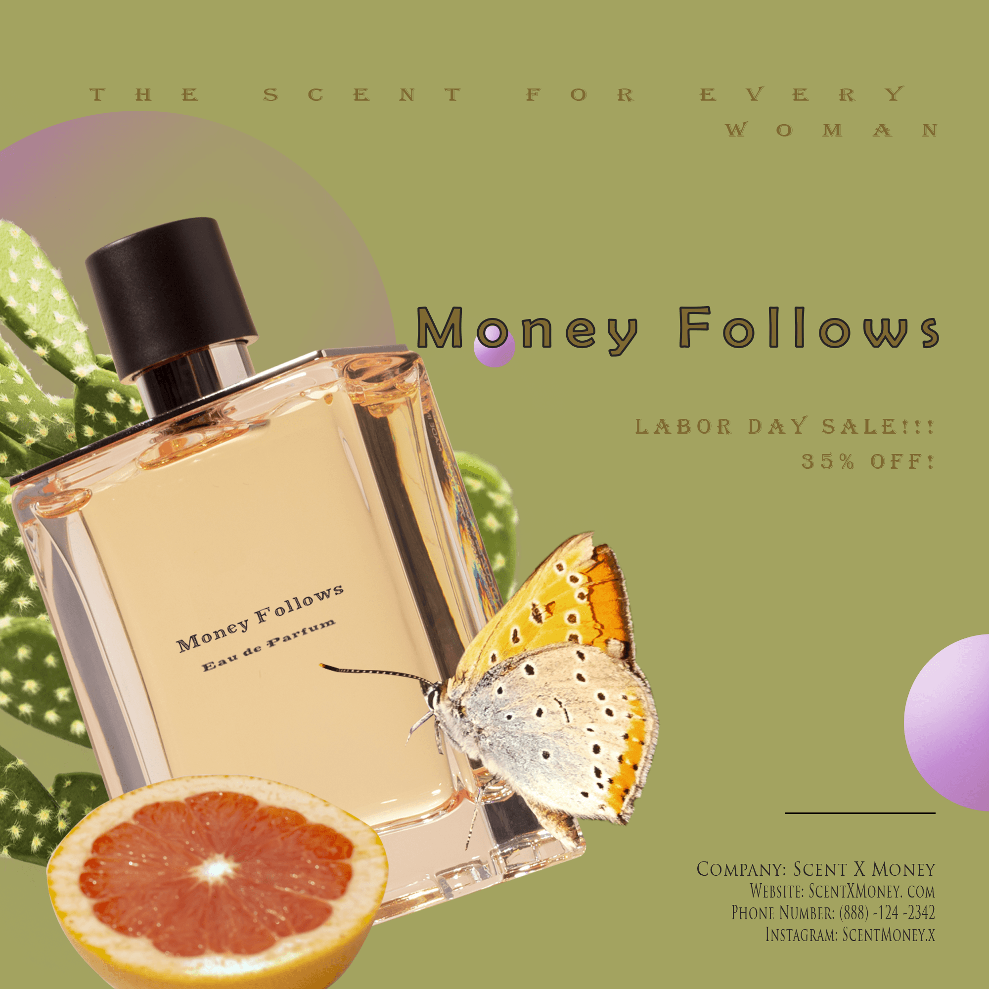 Money Follows media 3